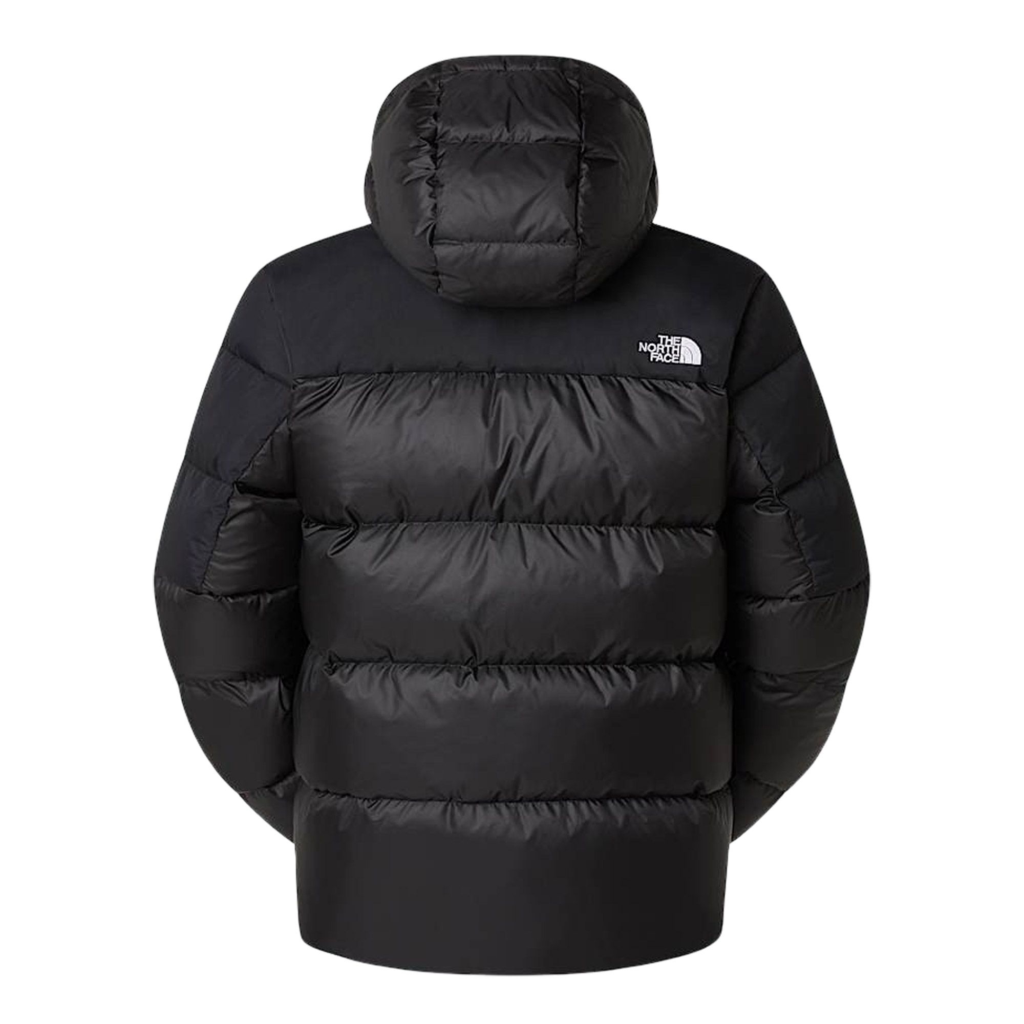 The North Face Diablo Down 2.0 Hooded Winter Jacket Men | Plutosport